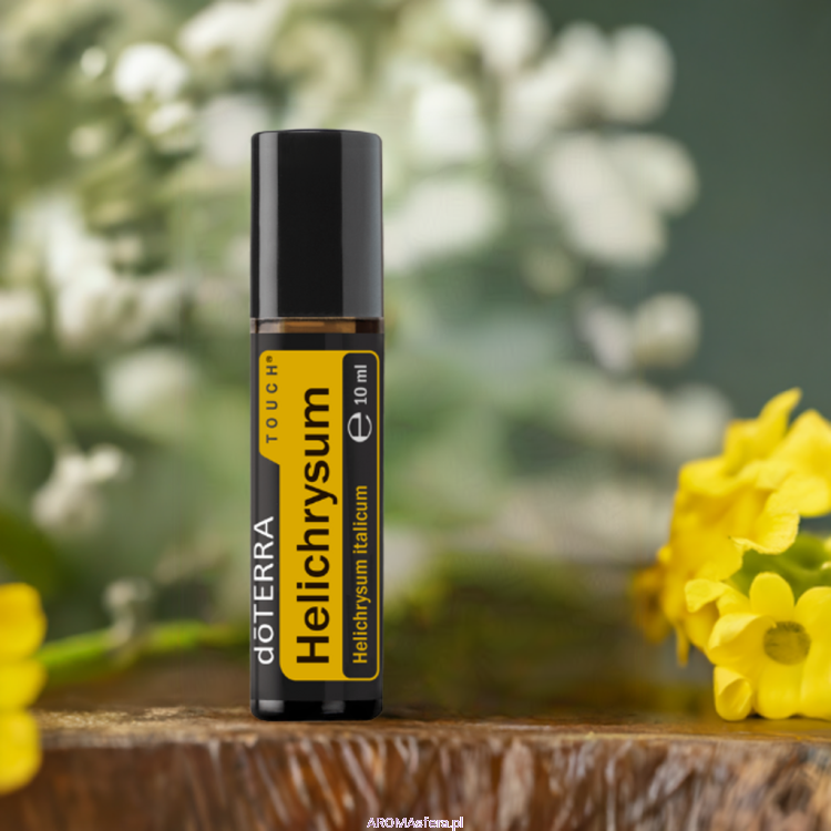 kocanka włoska touch