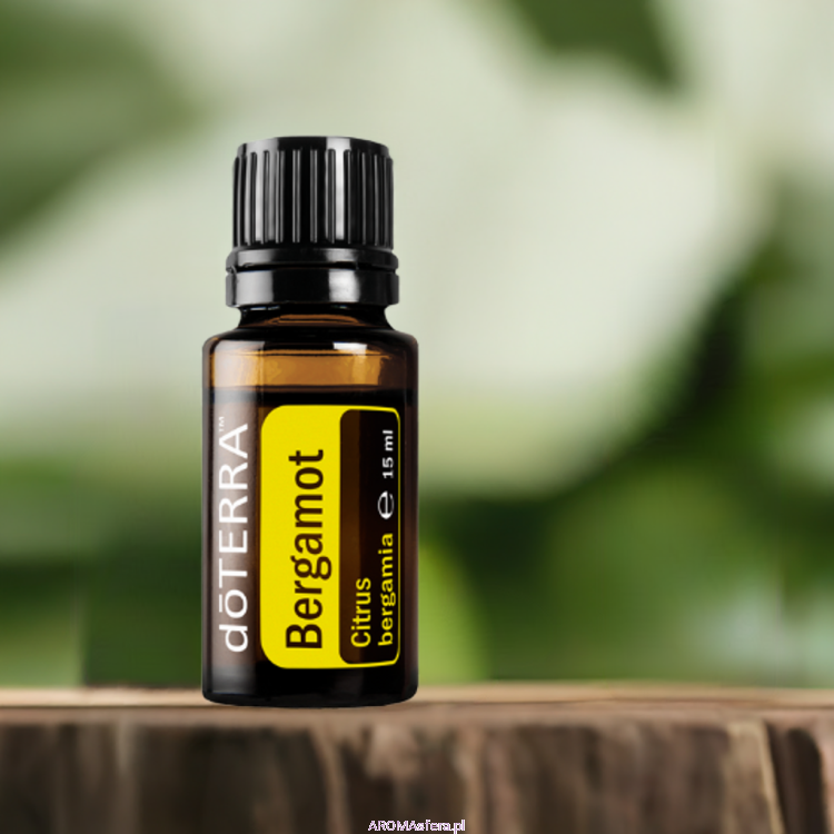 bergamotka