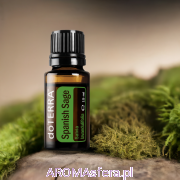 szałwia lawendolistna