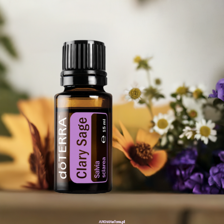 szałwia muszkatołowa