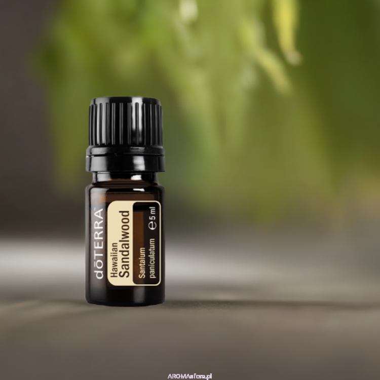 sandałowiec hawajski