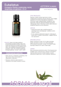 eucalyptus-oil.png