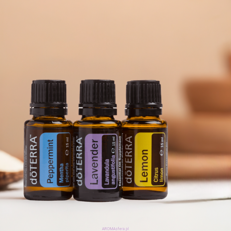 zestaw beginners trio